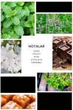 Ixora E007 Crime Erkek Parfüm Edp - Görsel 3