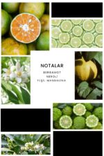 Ixora E008 Lucky Man Erkek Parfüm Edp - Görsel 3