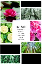 Ixora E011 Summer Man Erkek Parfüm Edp - Görsel 3