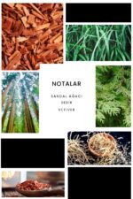 Ixora E016 Blue Erkek Parfüm Edp - Görsel 3