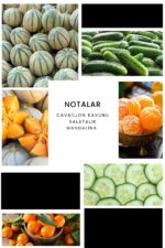 Ixora E031 Anticor Erkek Parfüm Edp - Görsel 3