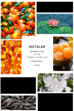 Ixora E035 Puzzle Erkek Parfüm Edp - Görsel 3