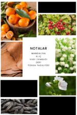 Ixora E048 Dark Gothic Erkek Parfüm Edp - Görsel 3