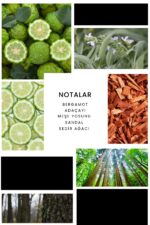 Ixora E062 Goa Erkek Parfüm Edp - Görsel 4