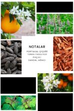 Ixora E068 Silver Man Erkek Parfüm Edp - Görsel 3