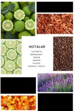 Ixora E095 Arjin Erkek Parfüm Edp - Görsel 4