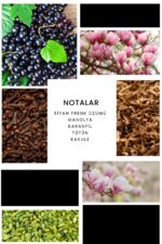 Ixora E101 King Erkek Parfüm Edp - Görsel 2