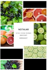 Ixora E153 Boom Erkek Parfüm Edp - Görsel 3