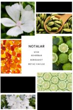 Ixora E162 Fabel Erkek Parfüm Edp - Görsel 3