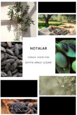 Ixora E163 Black Day Erkek Parfüm Edp - Görsel 3