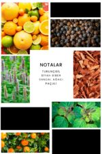 Ixora E171 Lasting Erkek Parfüm Edp - Görsel 3