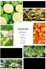 Ixora E200 Track Erkek Parfüm Edp - Görsel 3