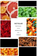 Ixora E201 Cocoman Erkek Parfüm Edp - Görsel 3