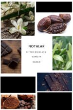 Ixora E208 Chocolate Erkek Parfüm Edp - Görsel 3