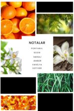 Ixora E211 Sport Ricardo Veron Erkek Parfüm Edp 100 ml - Görsel 2