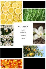 Ixora E224 Crome Erkek Parfüm Edp - Görsel 3