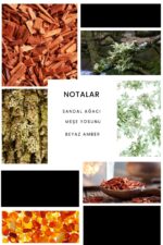 Ixora E227 W Erkek Parfüm Edp - Görsel 3