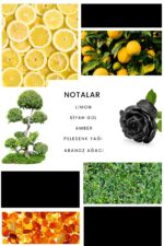 Ixora E236 Pin Up Erkek Parfüm Edp - Görsel 3