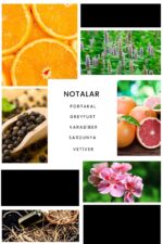 Ixora E241 Nippy Erkek Parfüm Edp - Görsel 3