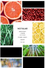 Ixora E247 Gallant Erkek Parfüm Edp - Görsel 3