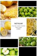 Ixora E266 Hector Erkek Parfüm Edp - Görsel 3