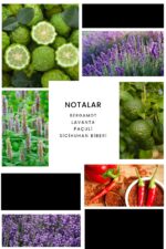 Ixora E267 Samurai Erkek Parfüm Edp - Görsel 3