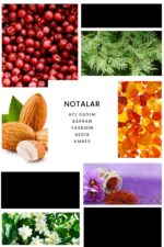 Ixora E274 Casino Erkek Parfüm Edp - Görsel 2