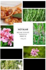 Ixora E284 Royal Erkek Parfüm Edp 100 ml - Görsel 2