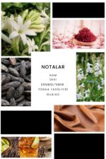 Ixora E290 Im black Erkek Parfüm Edp - Görsel 3