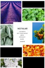 Ixora E293 Luna Erkek Parfüm Edp - Görsel 3