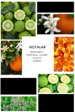 Ixora E296 Myself Erkek Parfüm - Görsel 2