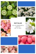 Ixora K376 Eclat Edp Kadın Parfüm - Görsel 10