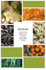 Ixora Incerto The Pont Unisex Parfüm 100 ml - Görsel 2