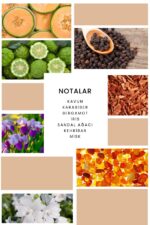 K004 Angel Kadın Parfüm Edp - Görsel 2