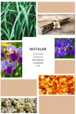 K024 Dignty Kadın Parfüm EDP - Görsel 2