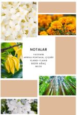 Ixora K080 Apex Edp Kadın Parfüm - Görsel 3