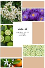 Ixora K086 Alida Edp Kadın Parfüm 100 ml - Görsel 2