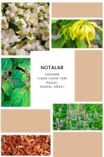 Ixora K093 Charm Edp Kadın Parfüm Yeni Şişe 50 ml - Görsel 2