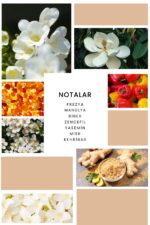 Ixora K101 Bright Edp Kadın Parfüm - Görsel 3