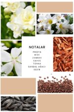 Ixora K107 Elite Edp Kadın Parfüm - Görsel 3