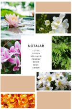 Ixora K110 Desing Edp Kadın Parfüm 100 ml - Görsel 2