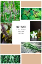 Ixora K129 Baffing Edp Kadın Parfüm - Görsel 3