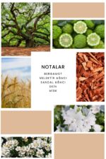 Ixora K139 Pink Baby Edp Kadın Parfüm 100 ml - Görsel 2