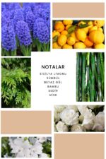 Ixora K178 Love Edp Kadın Parfüm 50 ml - Görsel 2