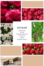 Ixora K187 Cool Lady Edp Kadın Parfüm - Görsel 3