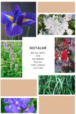 Ixora K189 Joy Kadın Parfüm Edp - Görsel 3