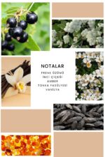 Ixora K218 Beauty Edp Kadın Parfüm - Görsel 3