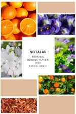 Ixora K228 Pink Edp Kadın Parfüm - Görsel 2