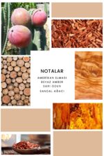 Ixora K232 Silky Edp Kadın Parfüm - Görsel 2