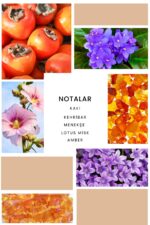 Ixora K234 Pretty Edp Kadın Parfüm - Görsel 3